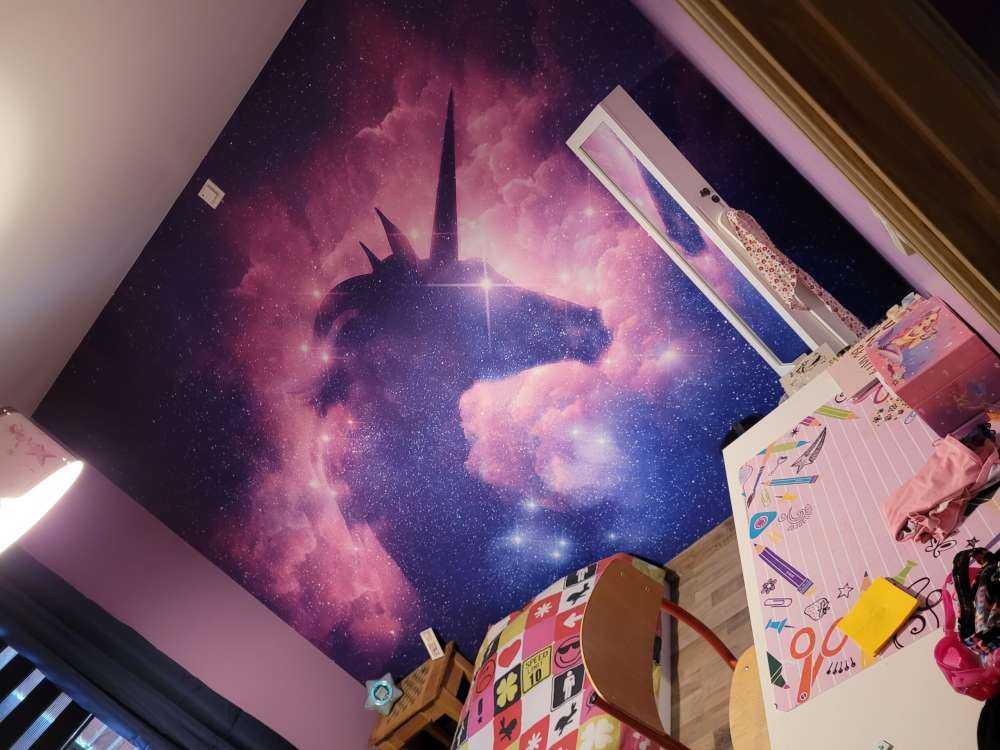 enhjørning silhuett