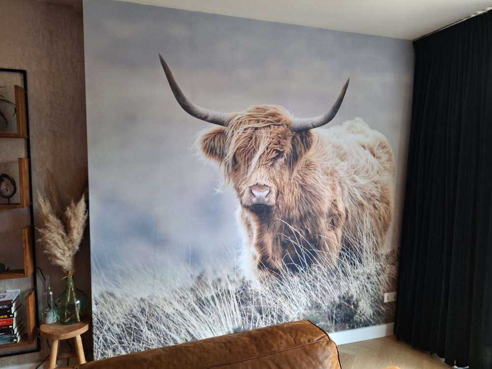 Det skotske høylandet i naturen