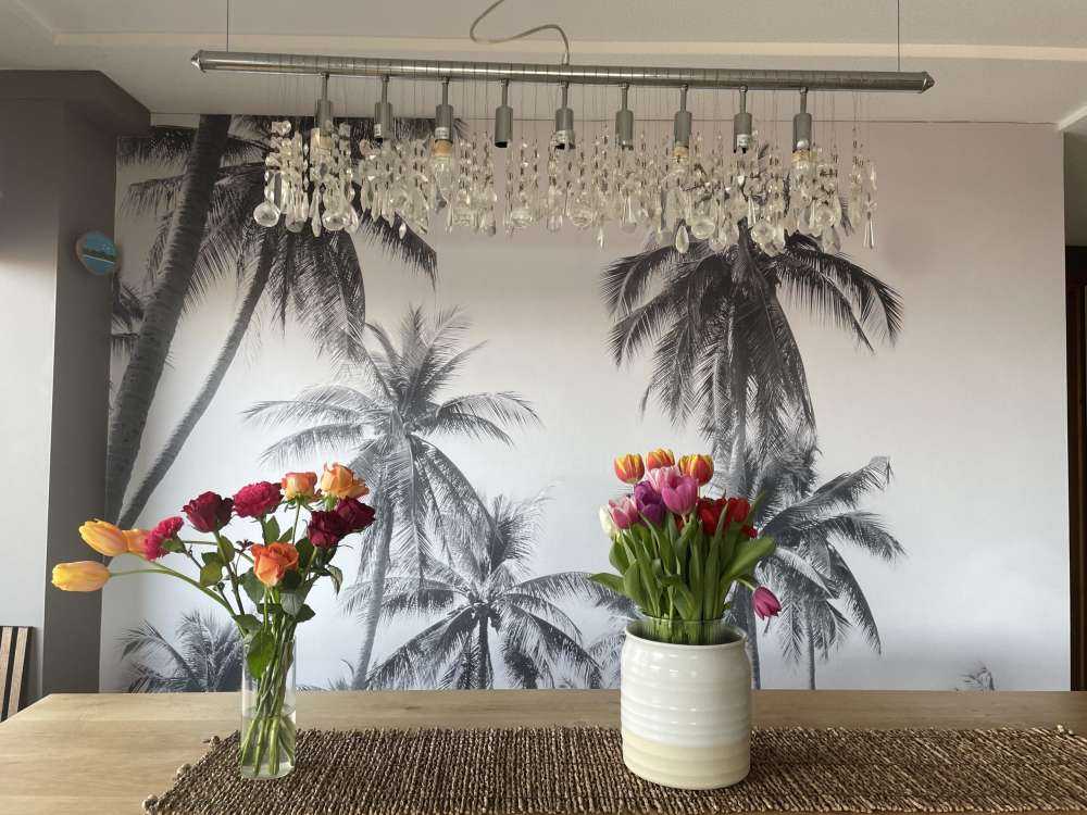 Palmer i svart og hvitt