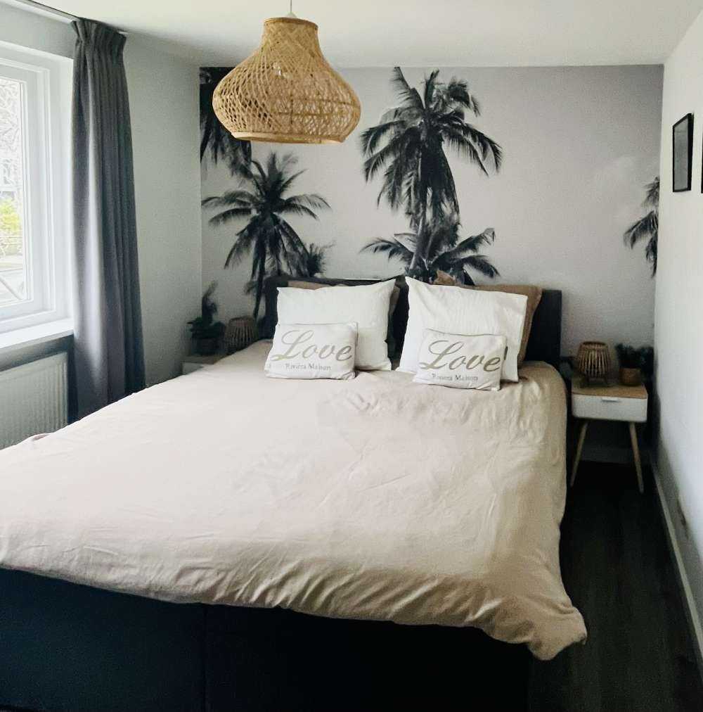 Palmer i svart og hvitt