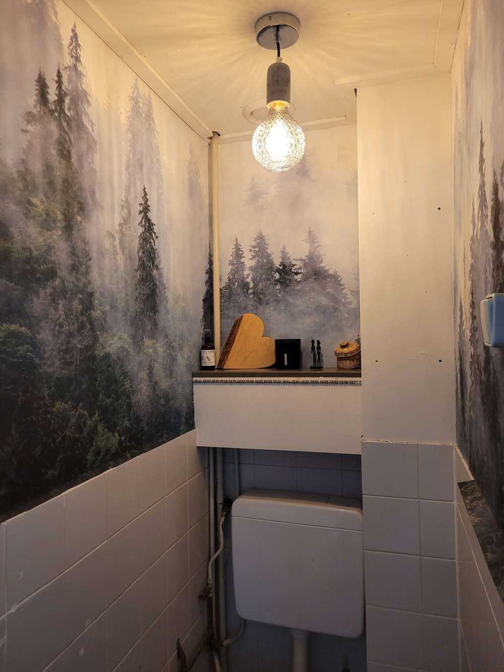 Tåkete landskapp