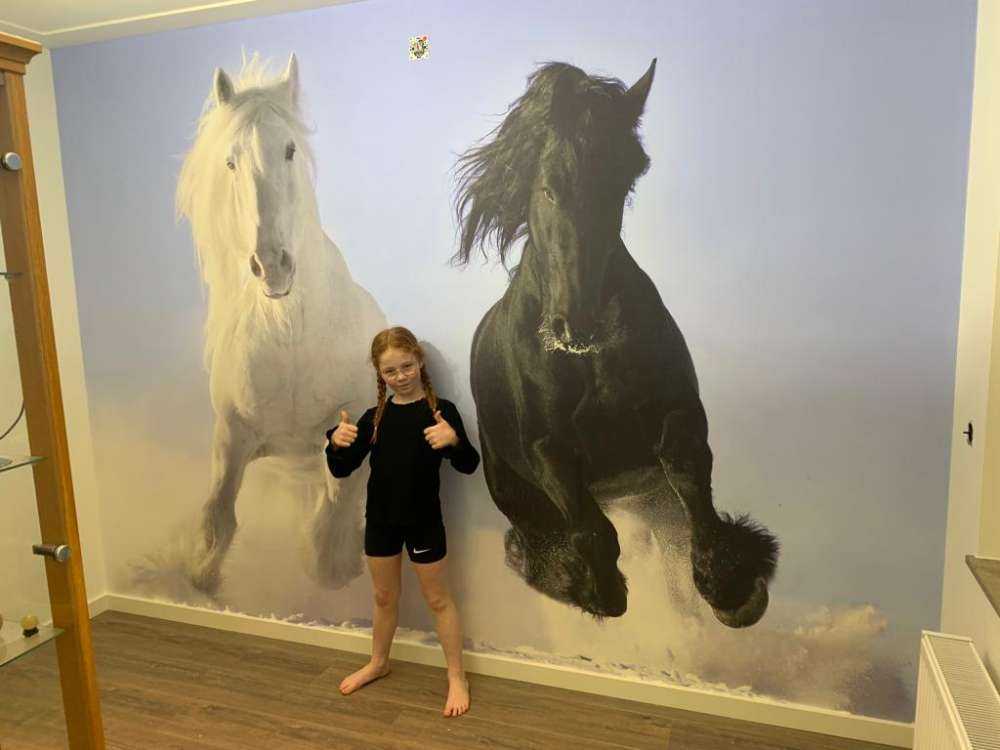 Hvit og en svart hest