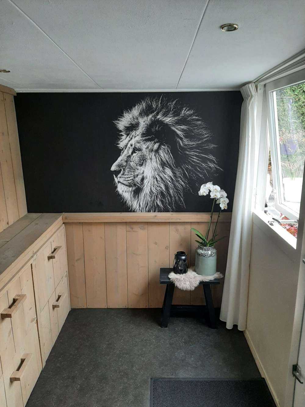 Løve med blå øyne