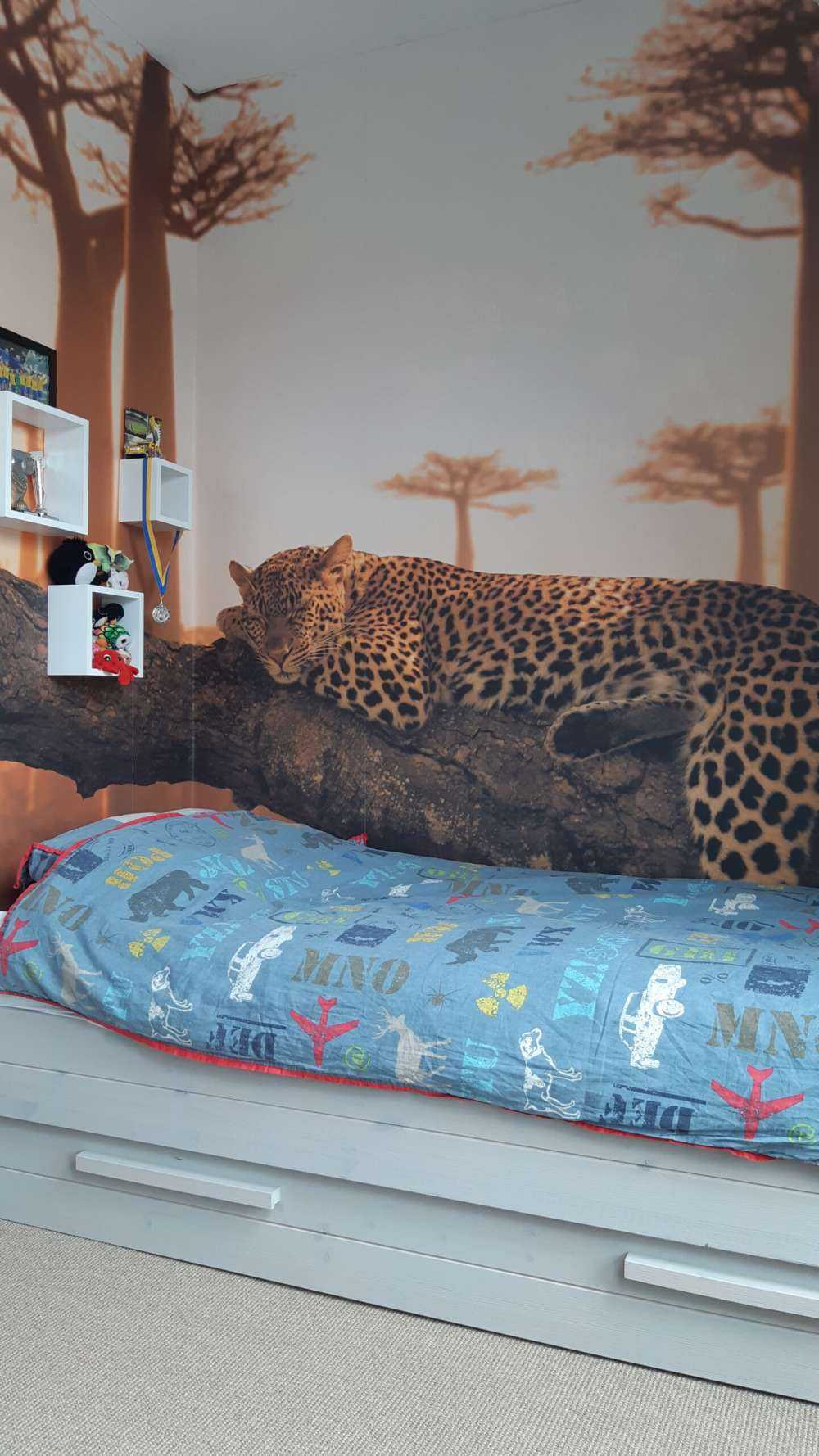 Sovende leopard