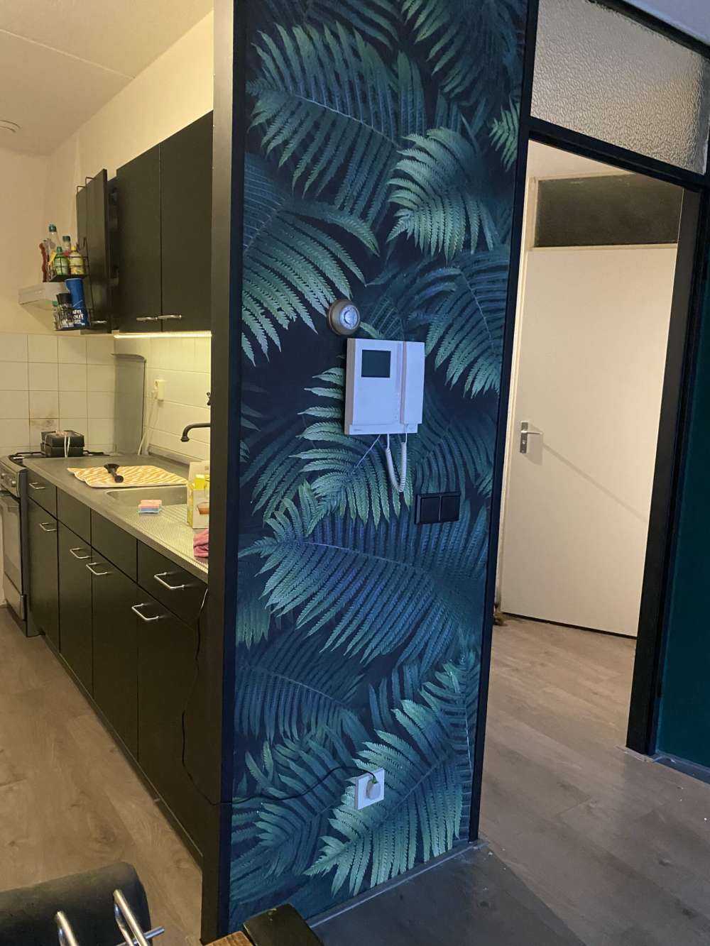 Stora palmblad