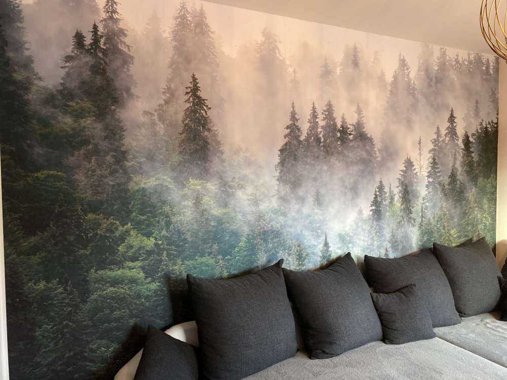 Dimmigt landskap med gröna träd