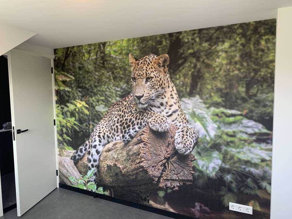 Leopard på träd