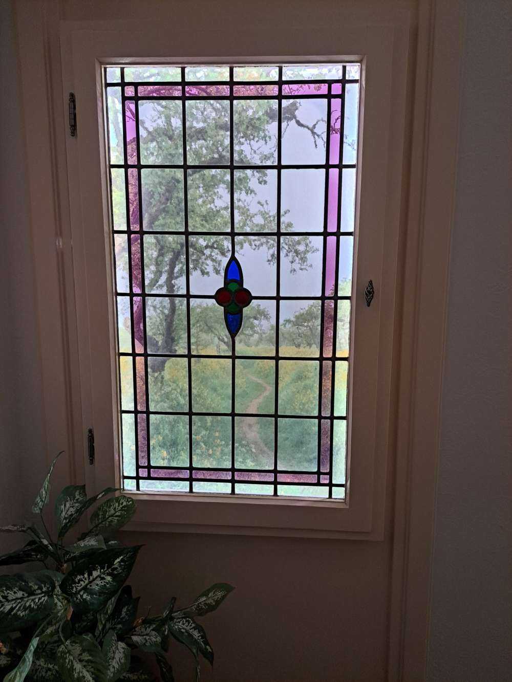 Svingende sti mellom åser med gule blomster