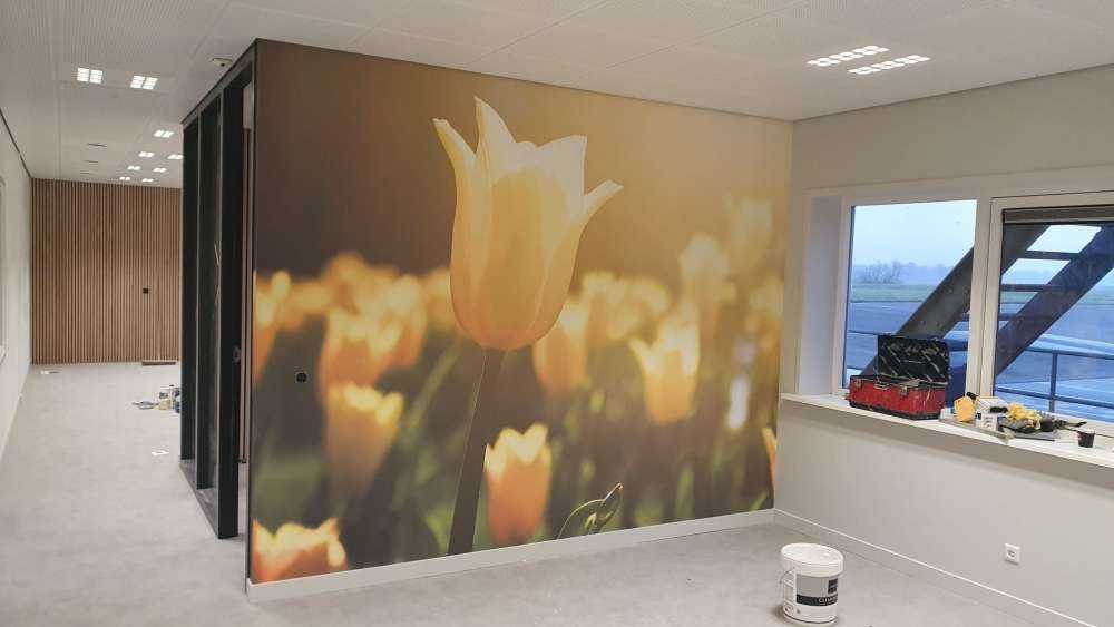 Lukk opp gul tulipann