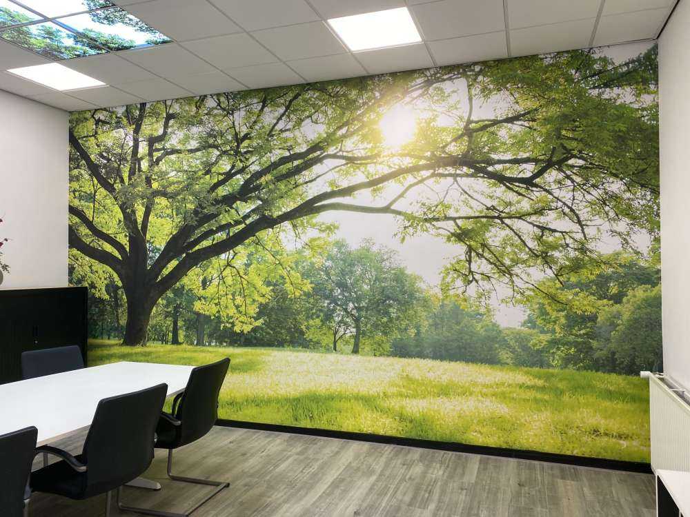 vakret tre med grønt gress