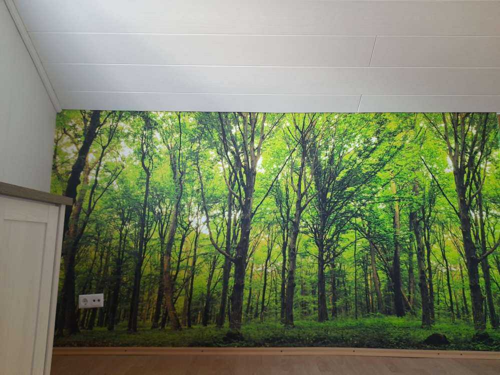 Frodig skog