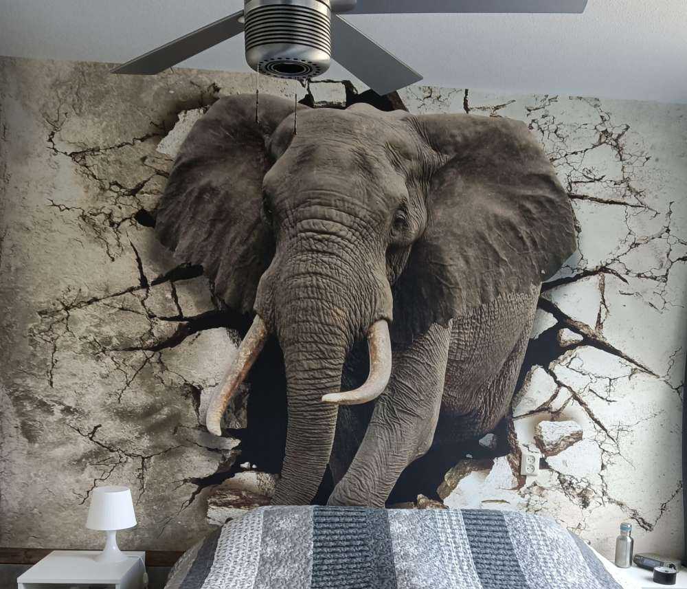 Stor elefant ud af væggen