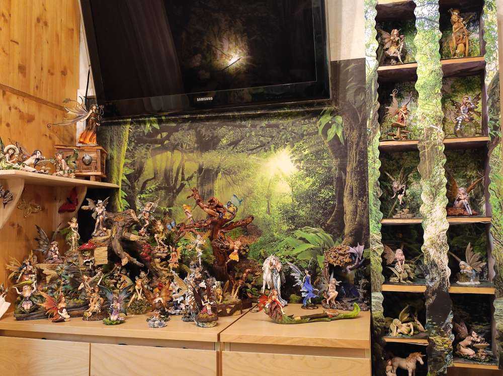 Tropisk jungle med sollys