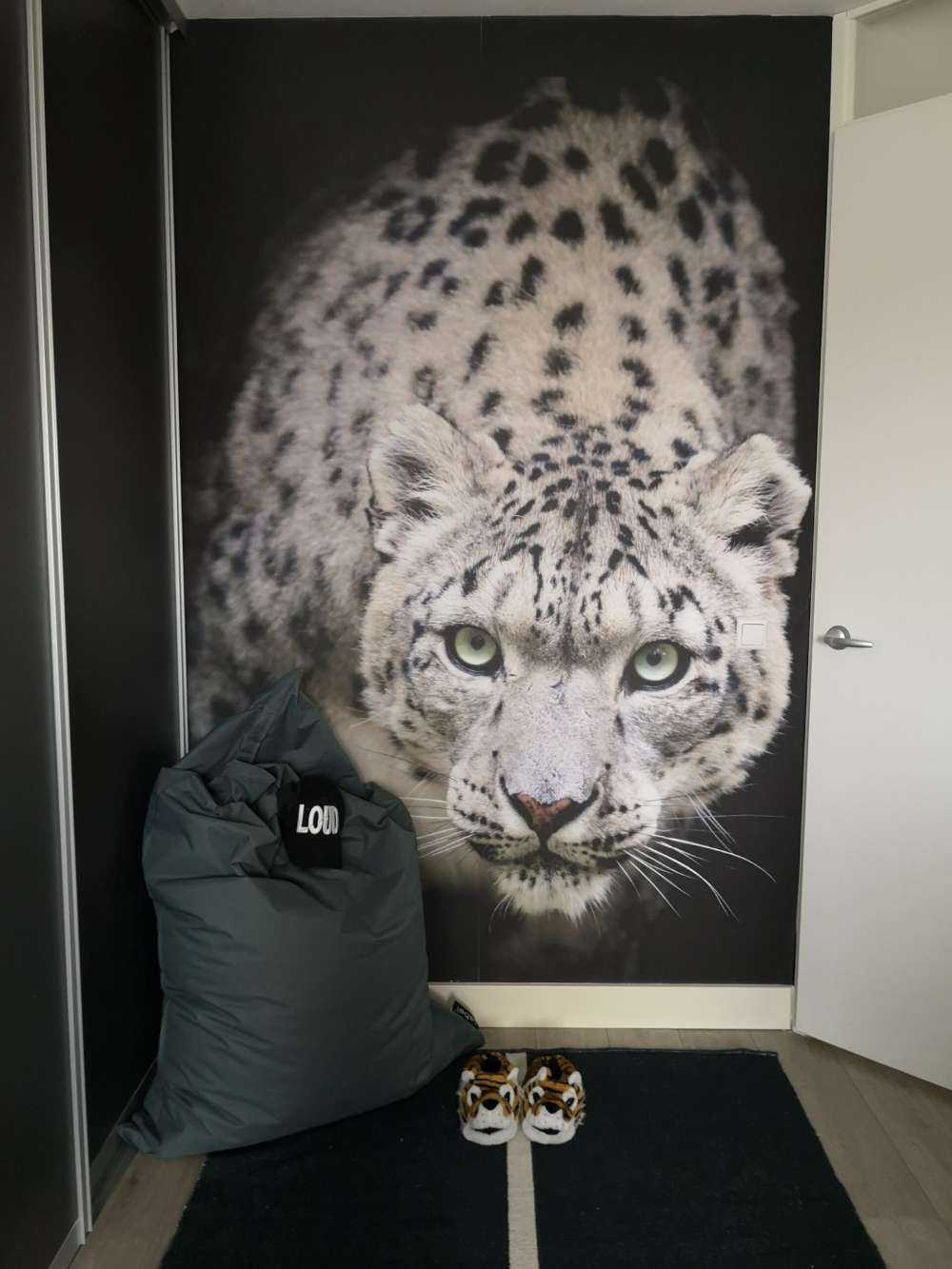 Sne leopard