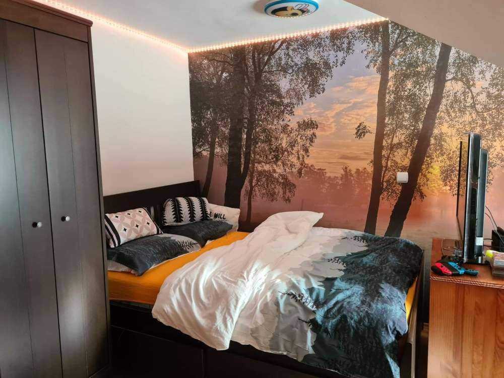 Soluppgång vid björkarna