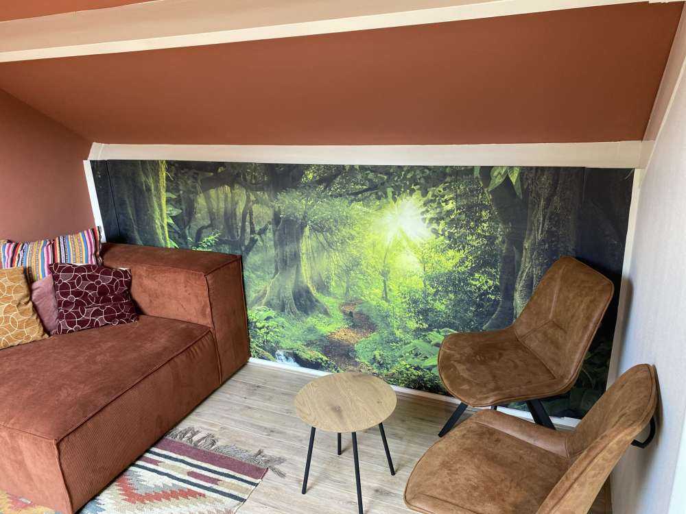 Tropisk jungle med sollys