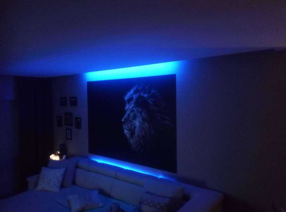 Løve med blå øyne