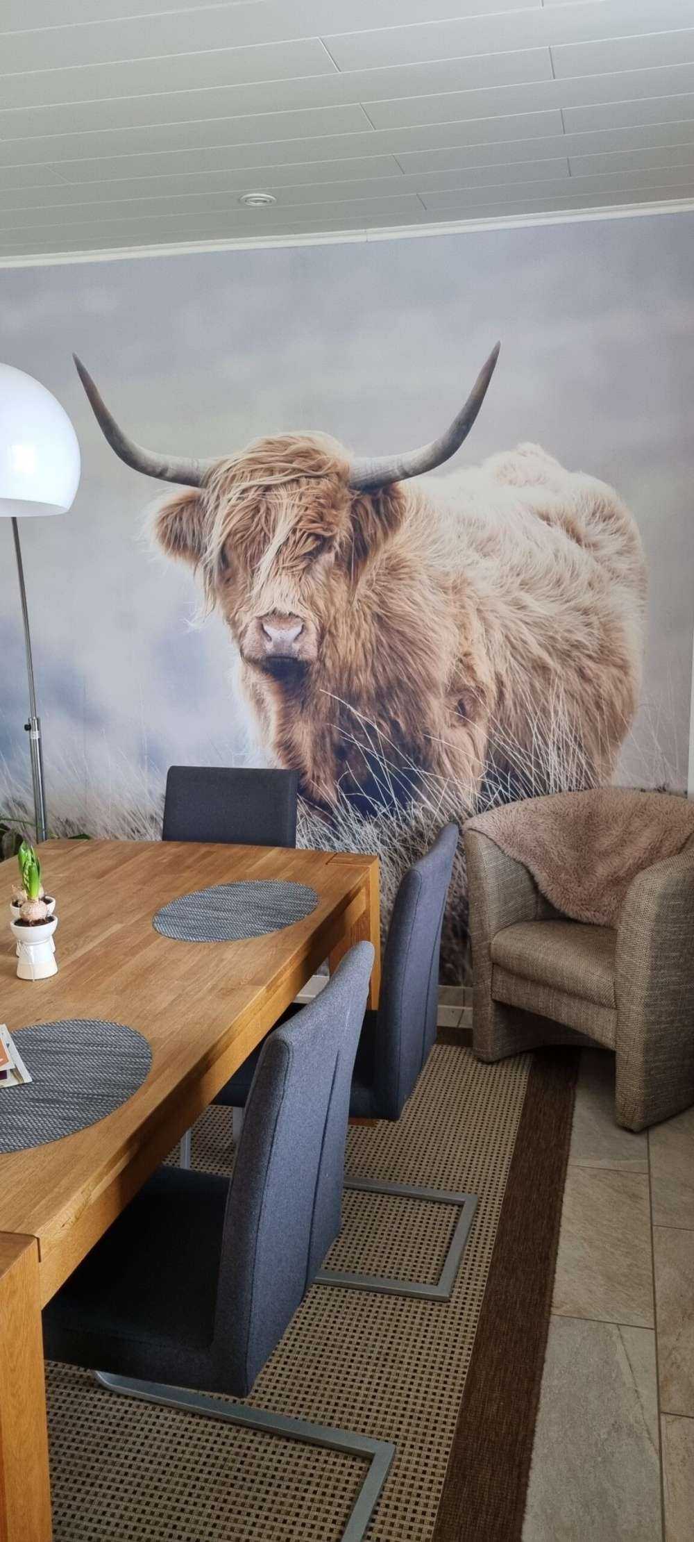 Det skotske høylandet i naturen