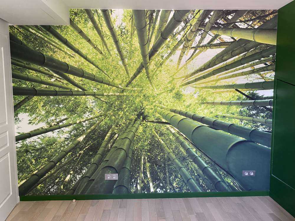 Bambu
