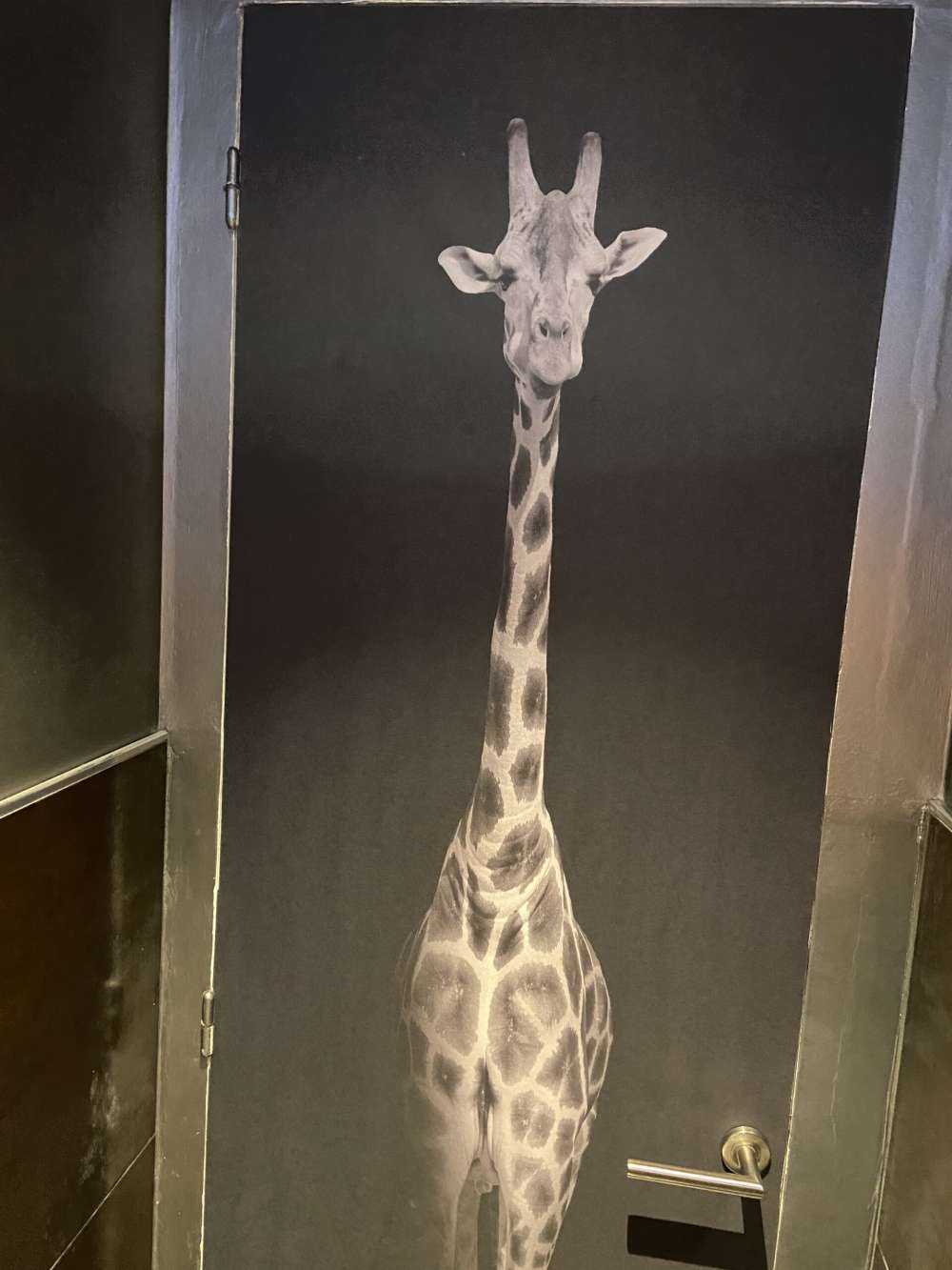 Giraff svartvitt