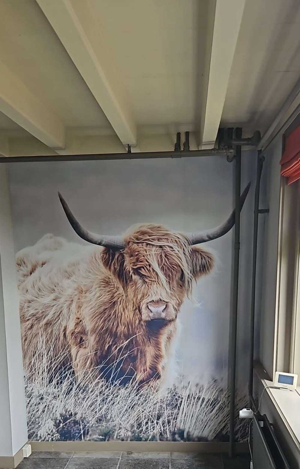 Det skotske høylandet i naturen