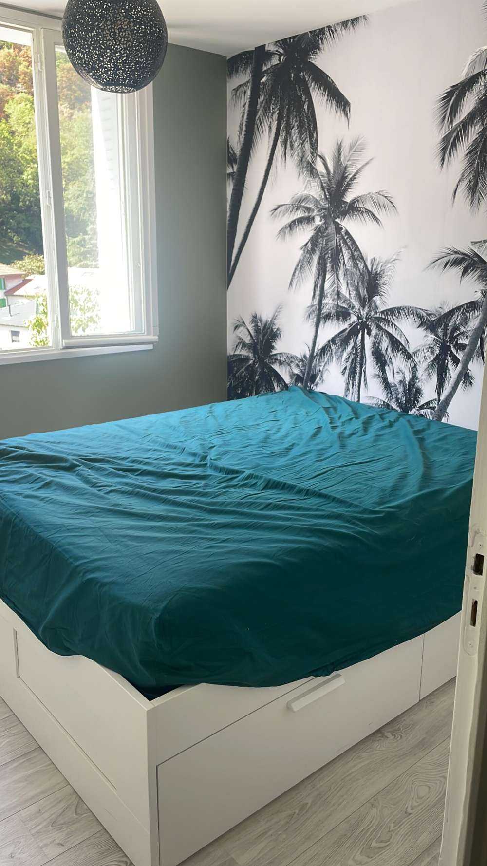 Palmer i svart og hvitt