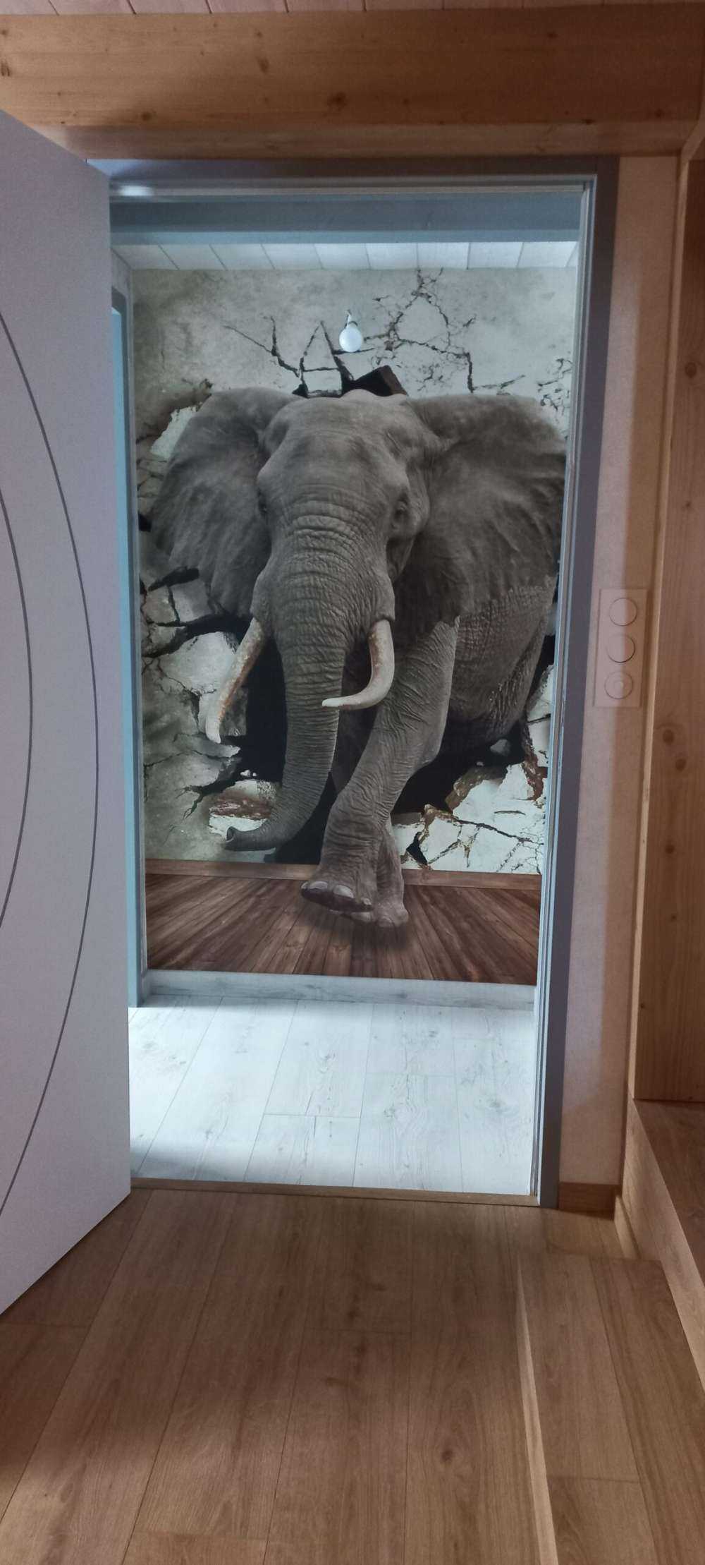 Stor elefant ud af væggen