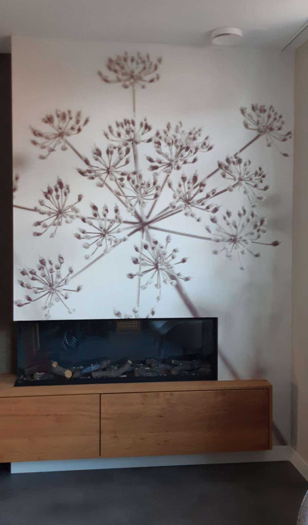 Nærbillede af ko persille