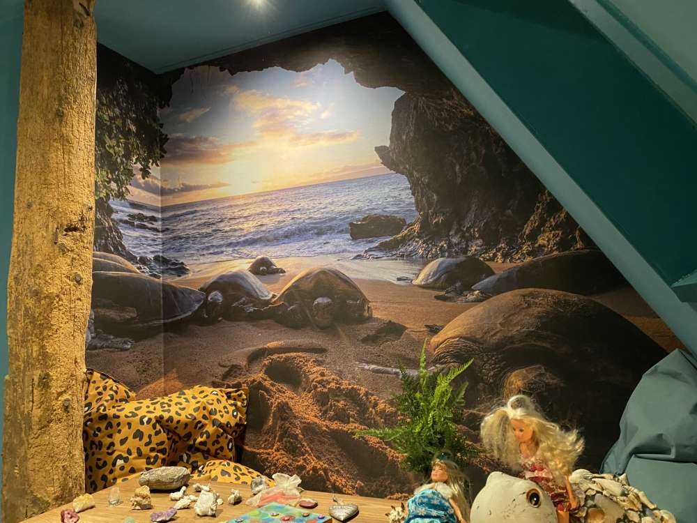 Skildpadder i en grotte