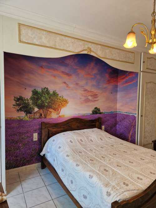 Lavendel felt under solopgang