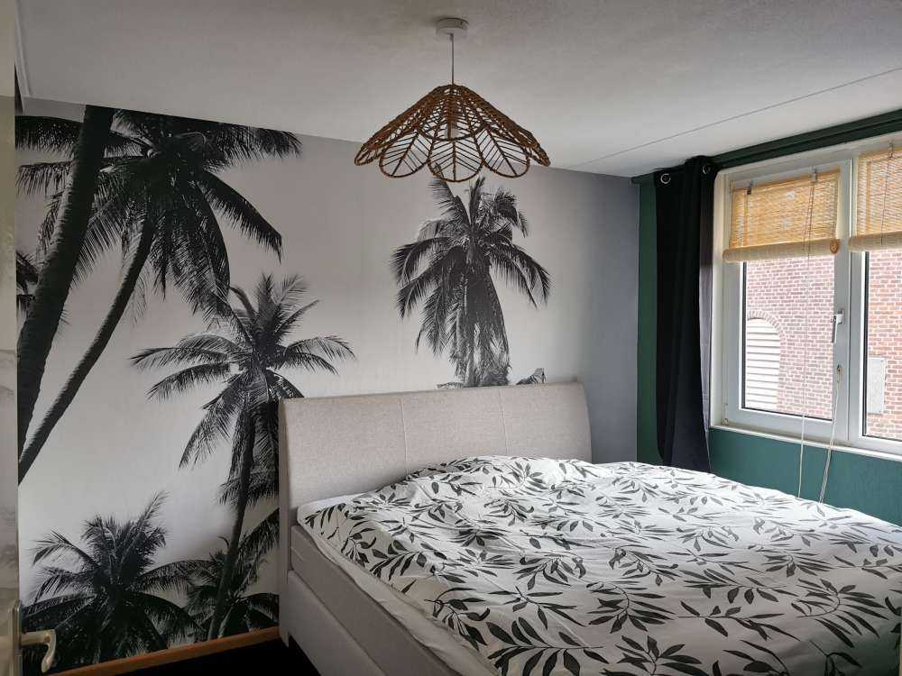 Palmer i sort og hvidt