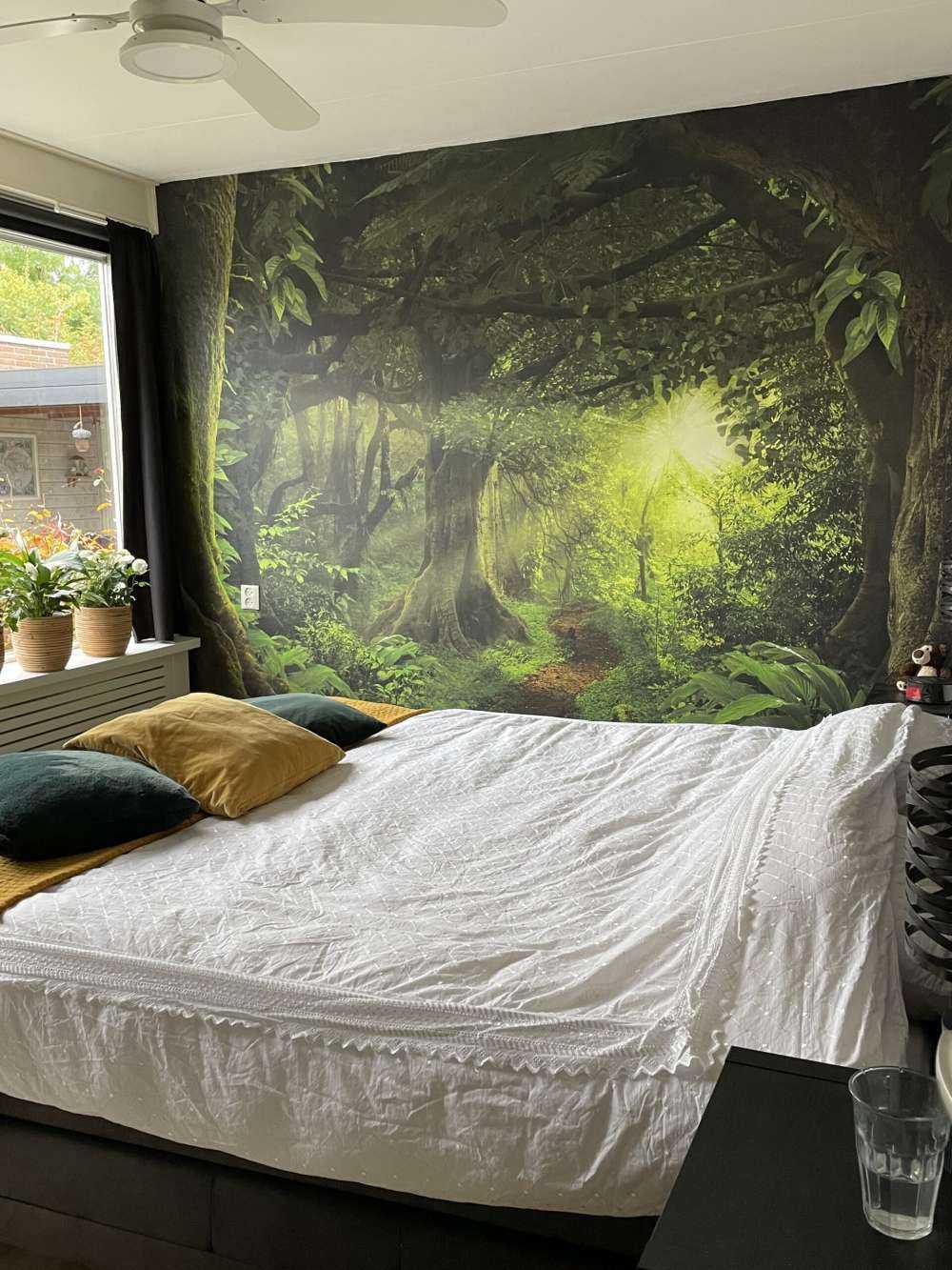 Tropisk jungle med sollys