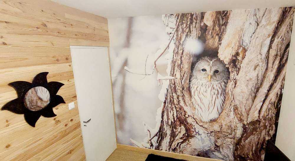 Hvit ugle i et hult tre