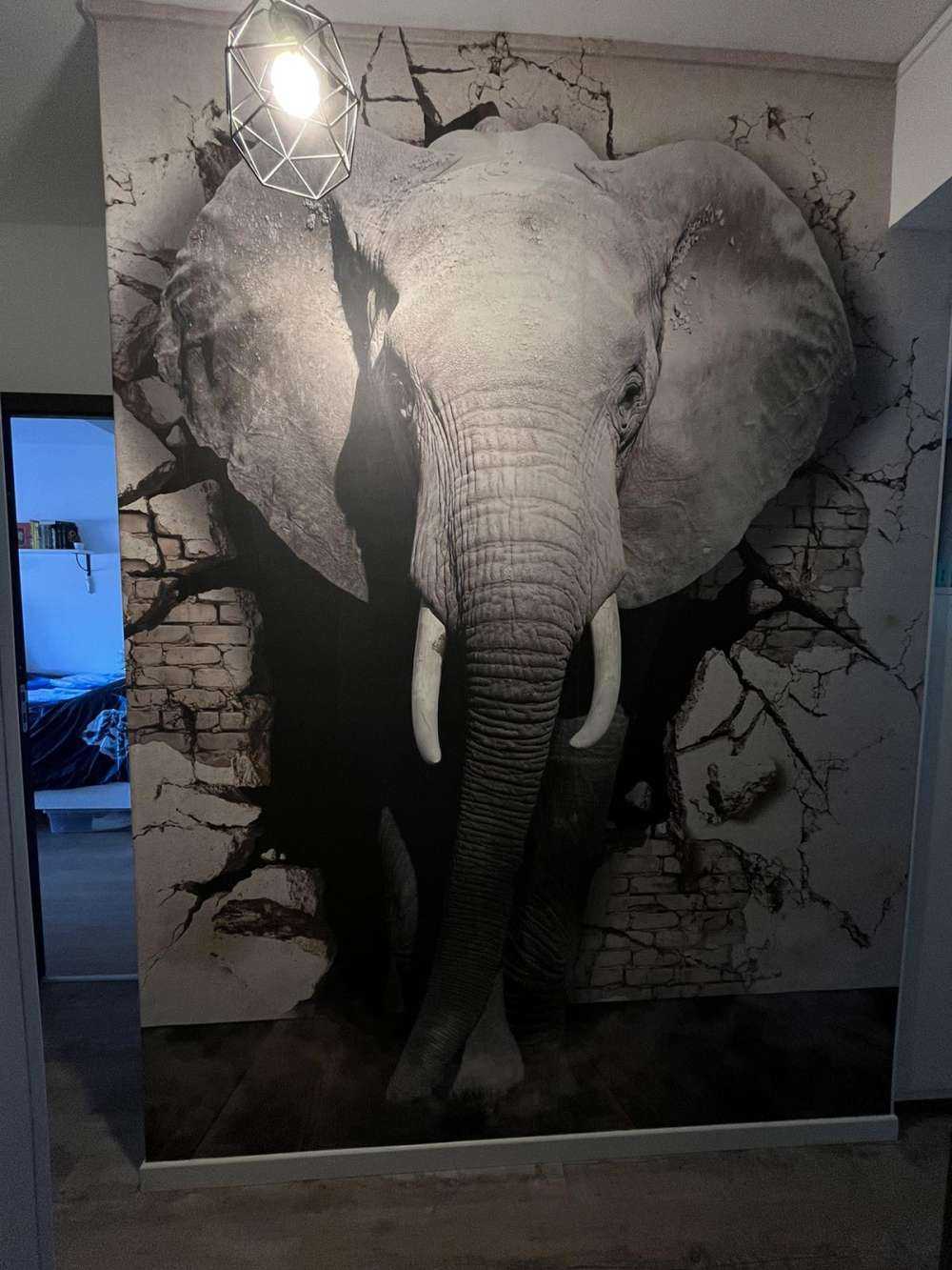 3D elefant fra veggen