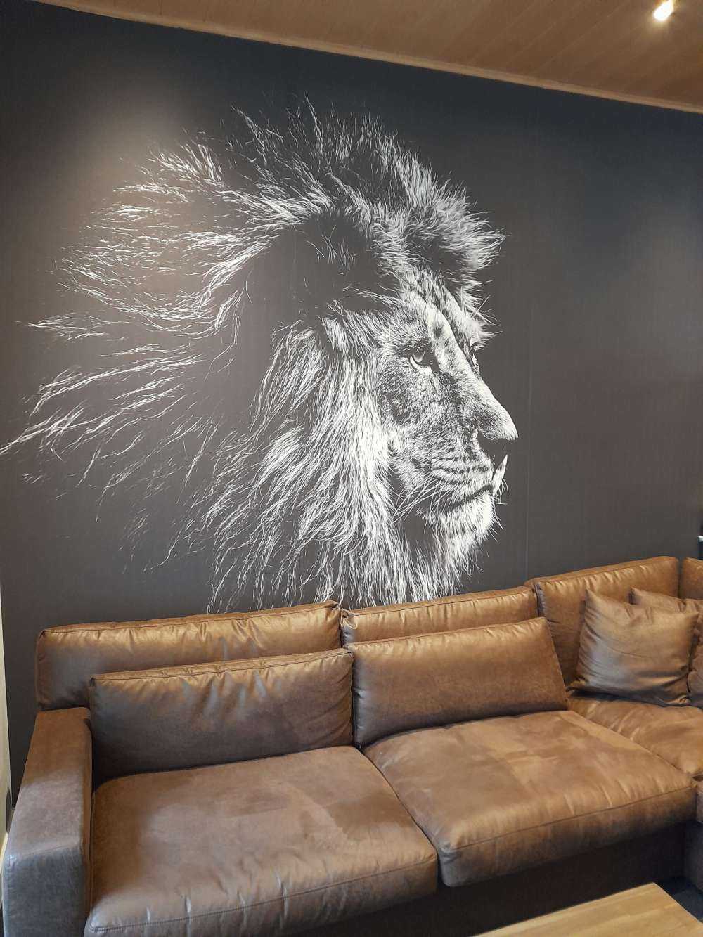 Løve med blå øyne