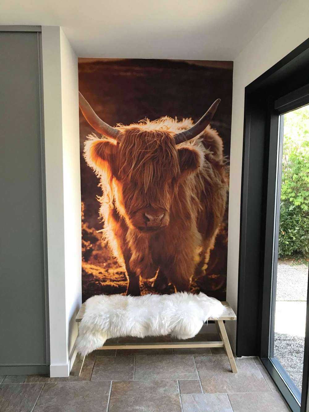 Det skotske høylandet i solen