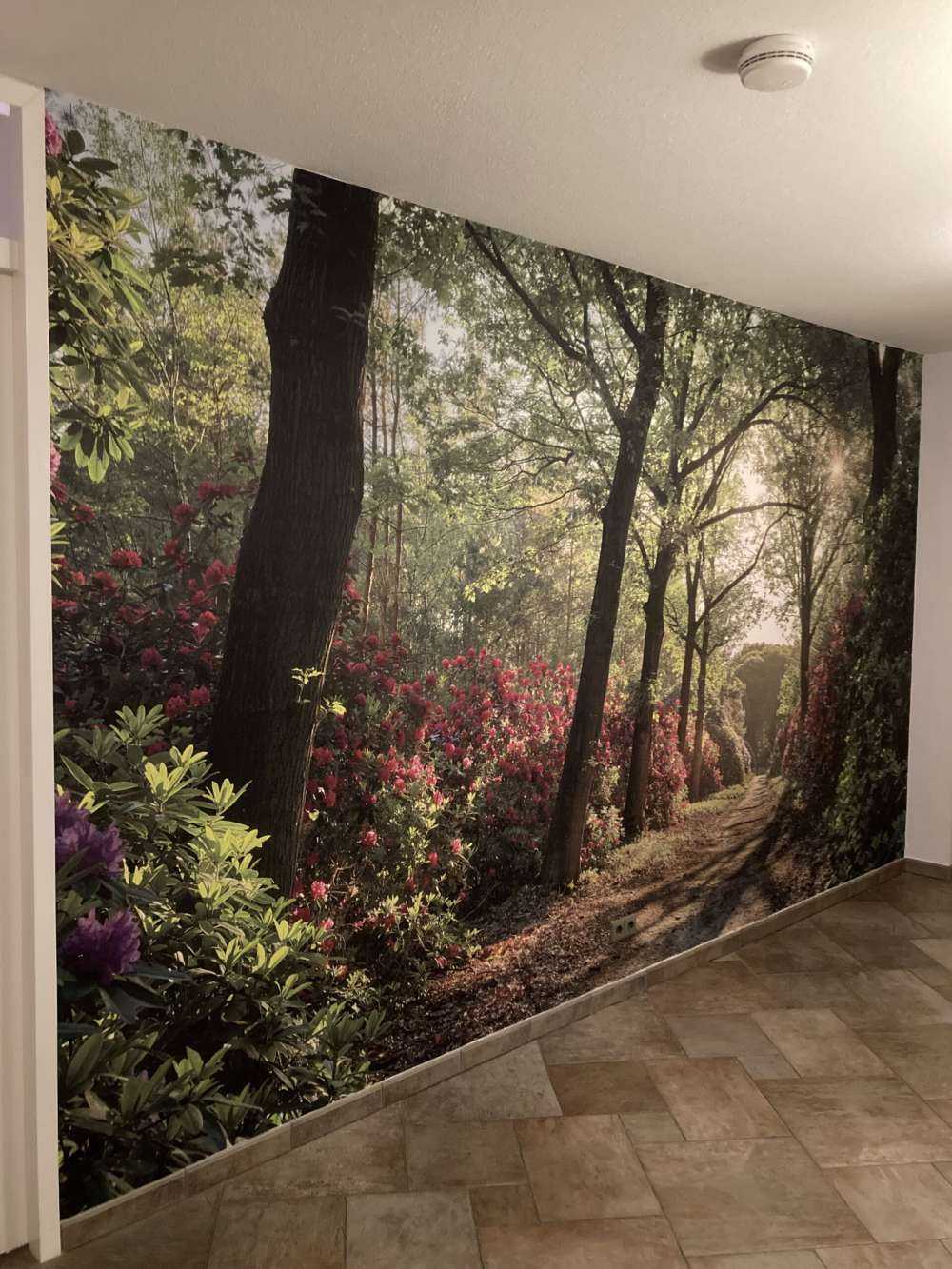 Soloppgang med sti med rododendroner