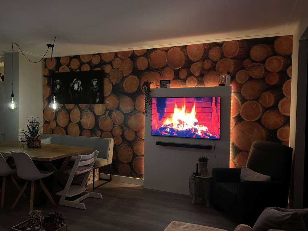 Haug med mørke trestammer