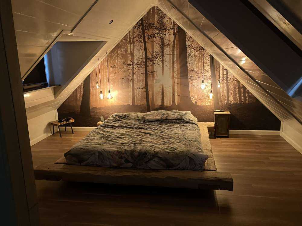 Solskin i en tåget skov