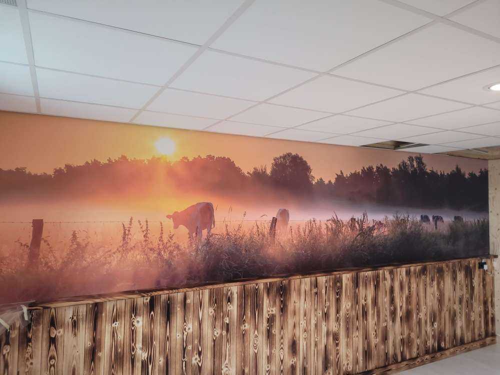 Køer på engen