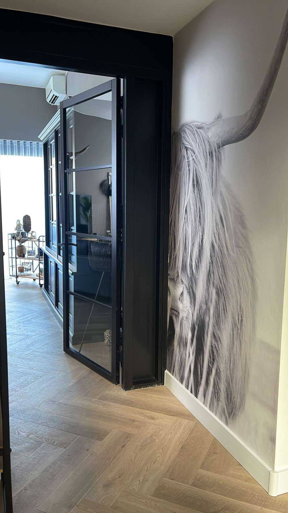 Närbild av en skotsk hoglandare