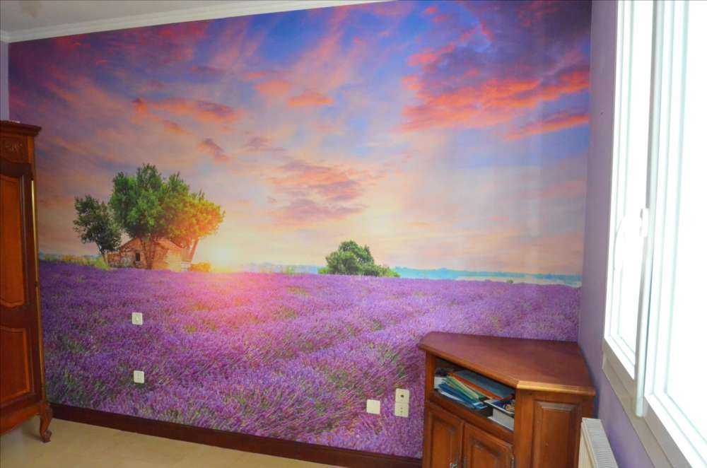 Lavendelåker under soloppgang