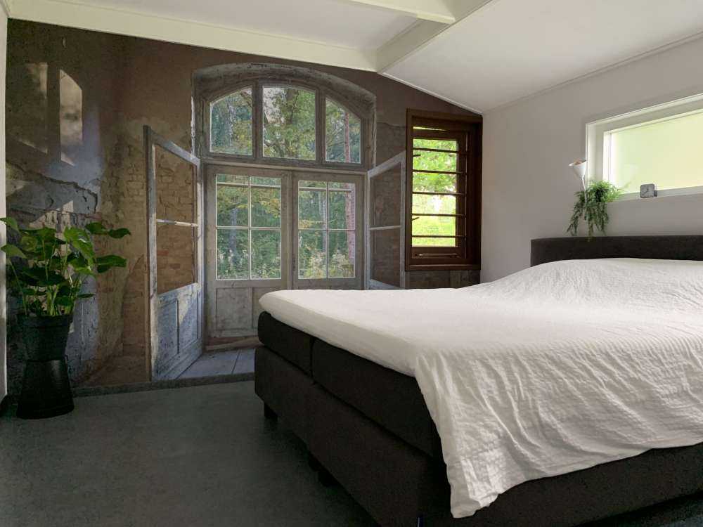 Forlatt hus ved skogen