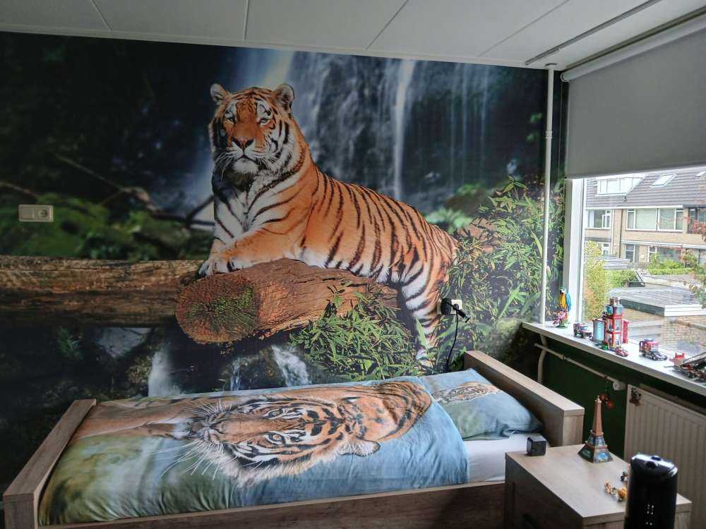 Tiger i junglen