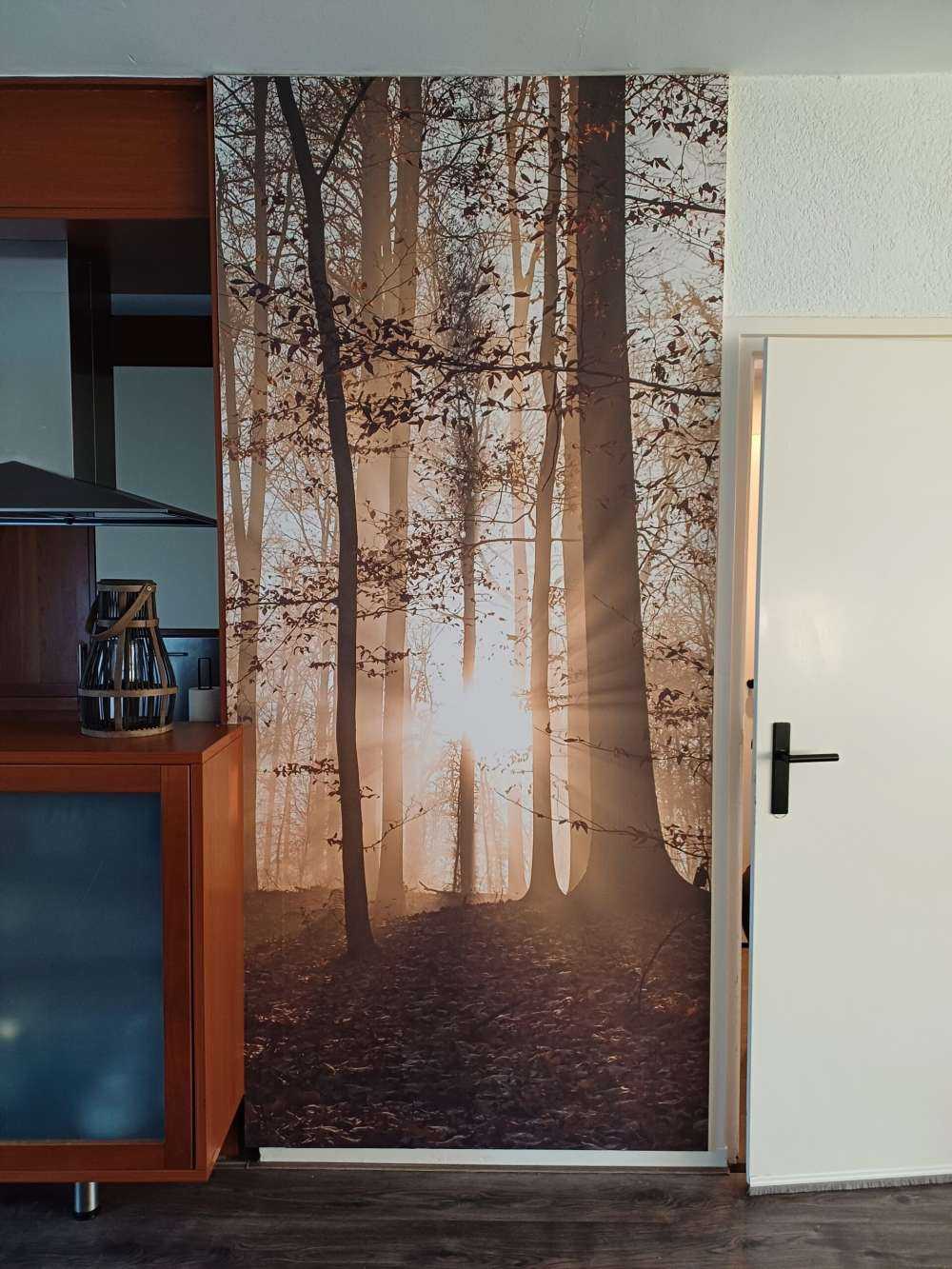 Solsken i en dimmig skog