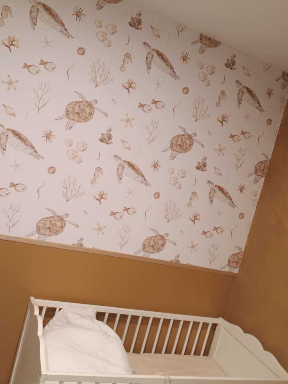 Snäckor och havsdjur