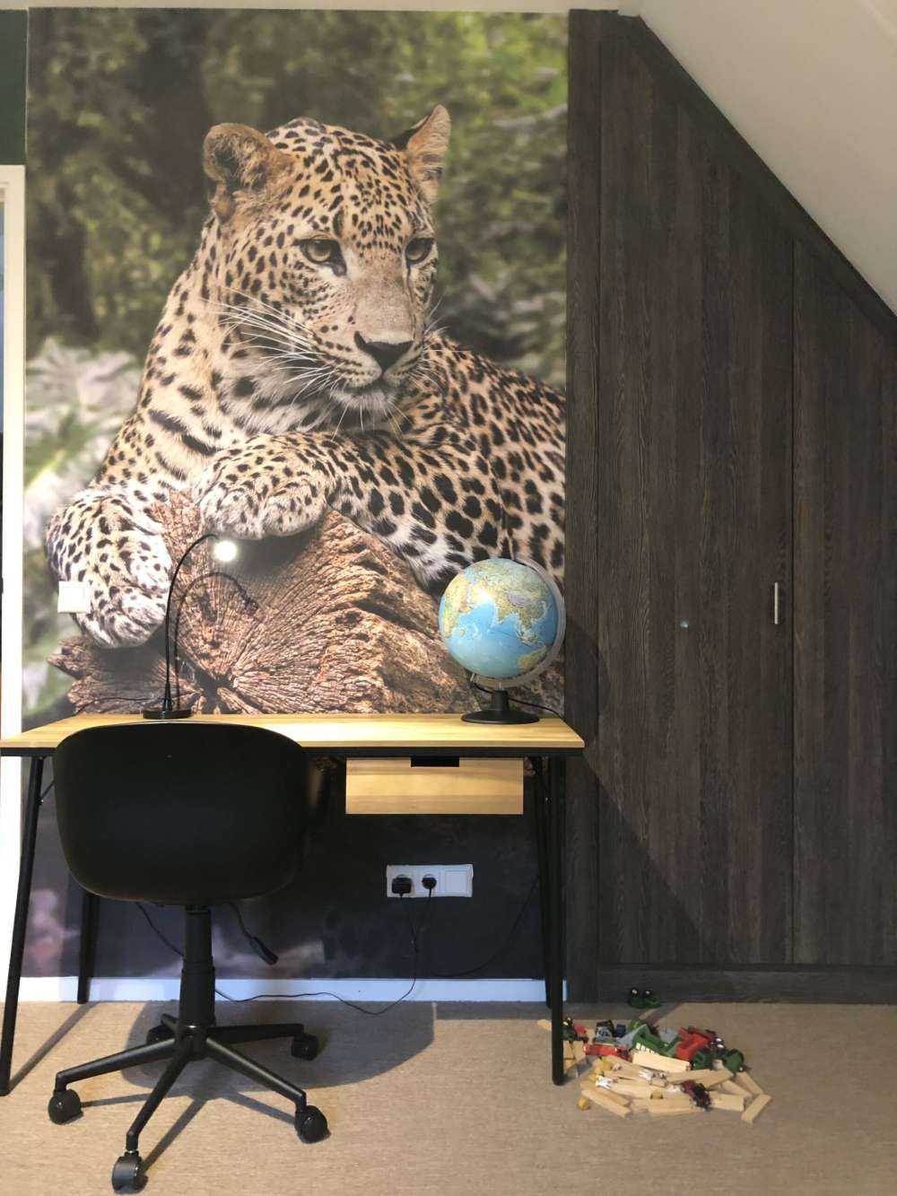 Leopard på träd