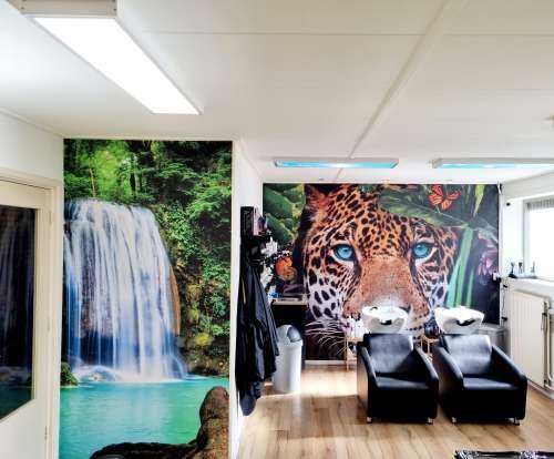 Jungle Leopard