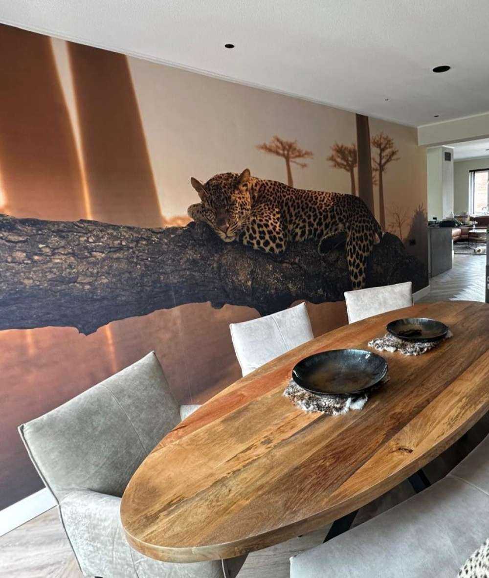 Sovende leopard