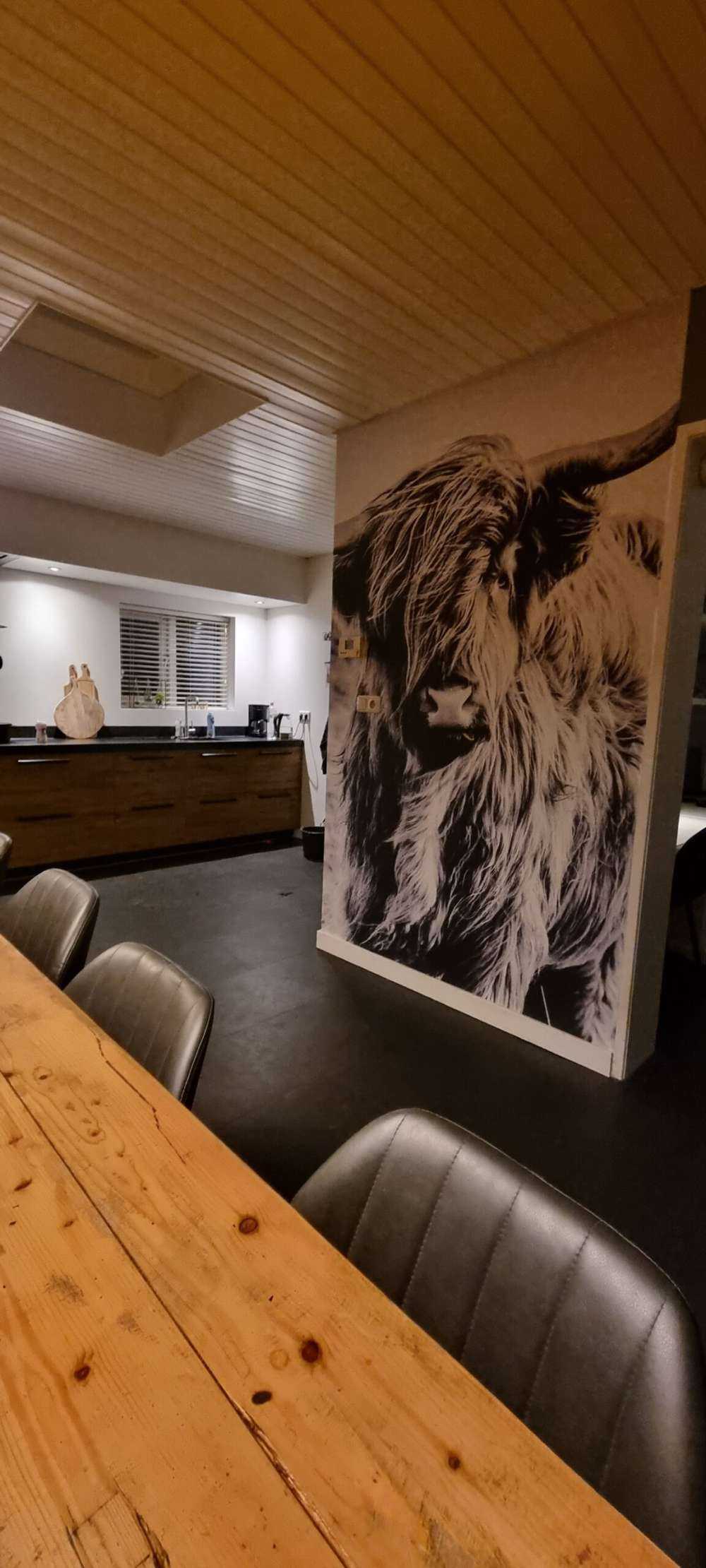 Scottish højlander i sort og hvid